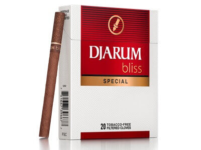Djarum Bliss Tobacco Free Filtered Clove Special