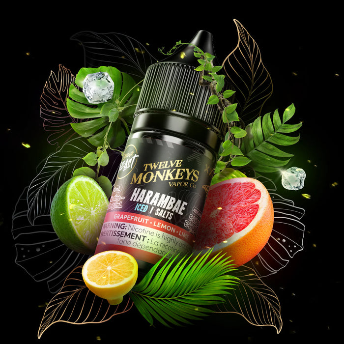 Flavour Beast X 12 Monkeys Salt Nic 30ML