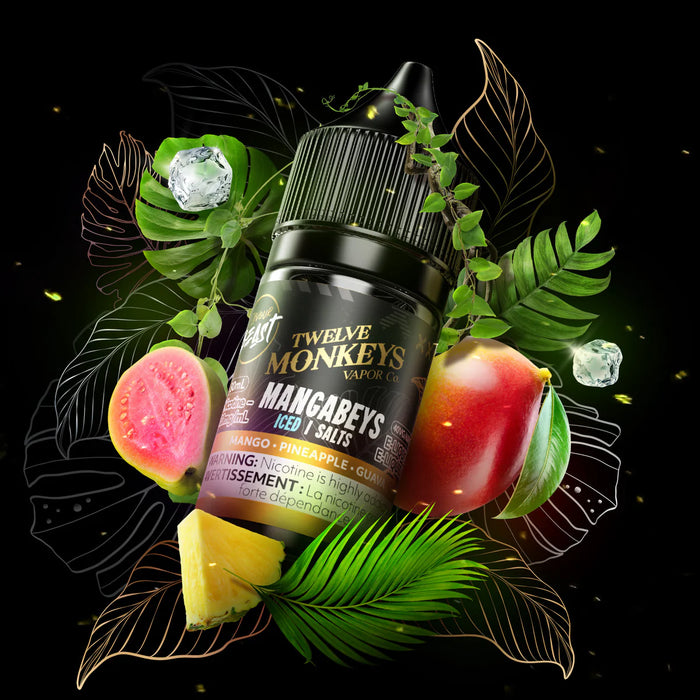 Flavour Beast X 12 Monkeys Salt Nic 30ML