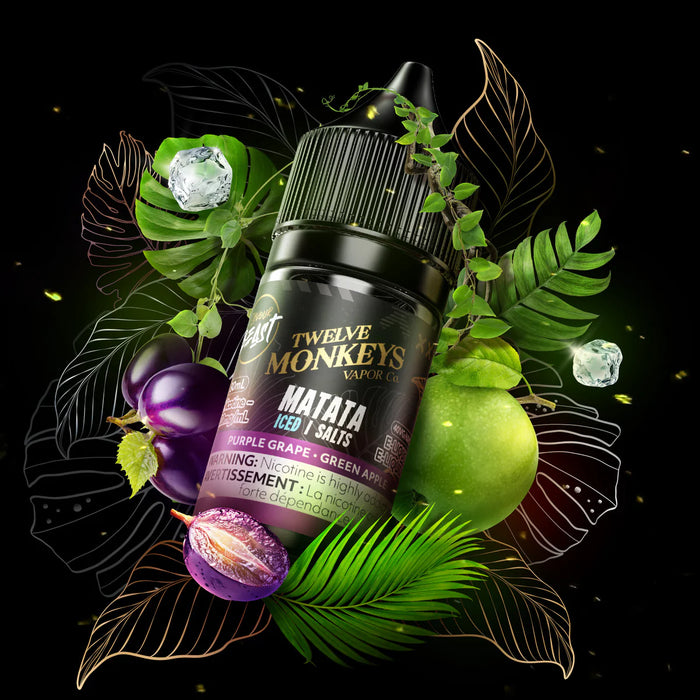 Flavour Beast X 12 Monkeys Salt Nic 30ML