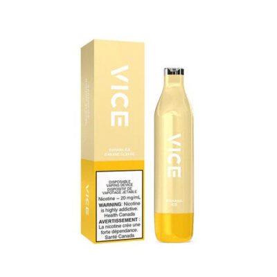 VICE 2500 Disposable